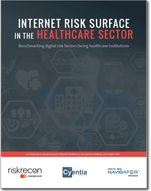 HealthcareRiskSurfaceReport-thumb