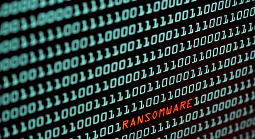 7 Ransomware Lessons Every Organization Should Learn in 2026