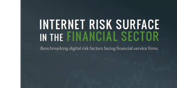 Internet Risk Surface in the Finance Sector Report