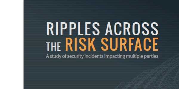 Ripples Across the Risk Surface Report